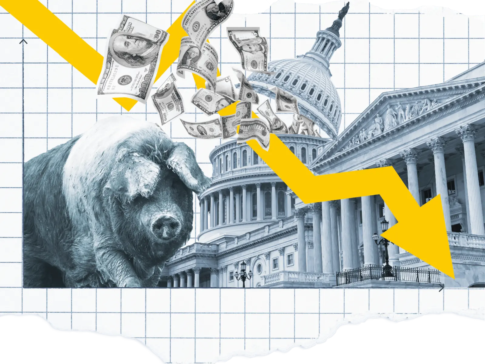 A large gray pig stands against a backdrop of U.S. government buildings, with money streaming down and a yellow downward arrow.